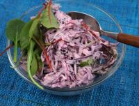 Coleslaw med rödkål